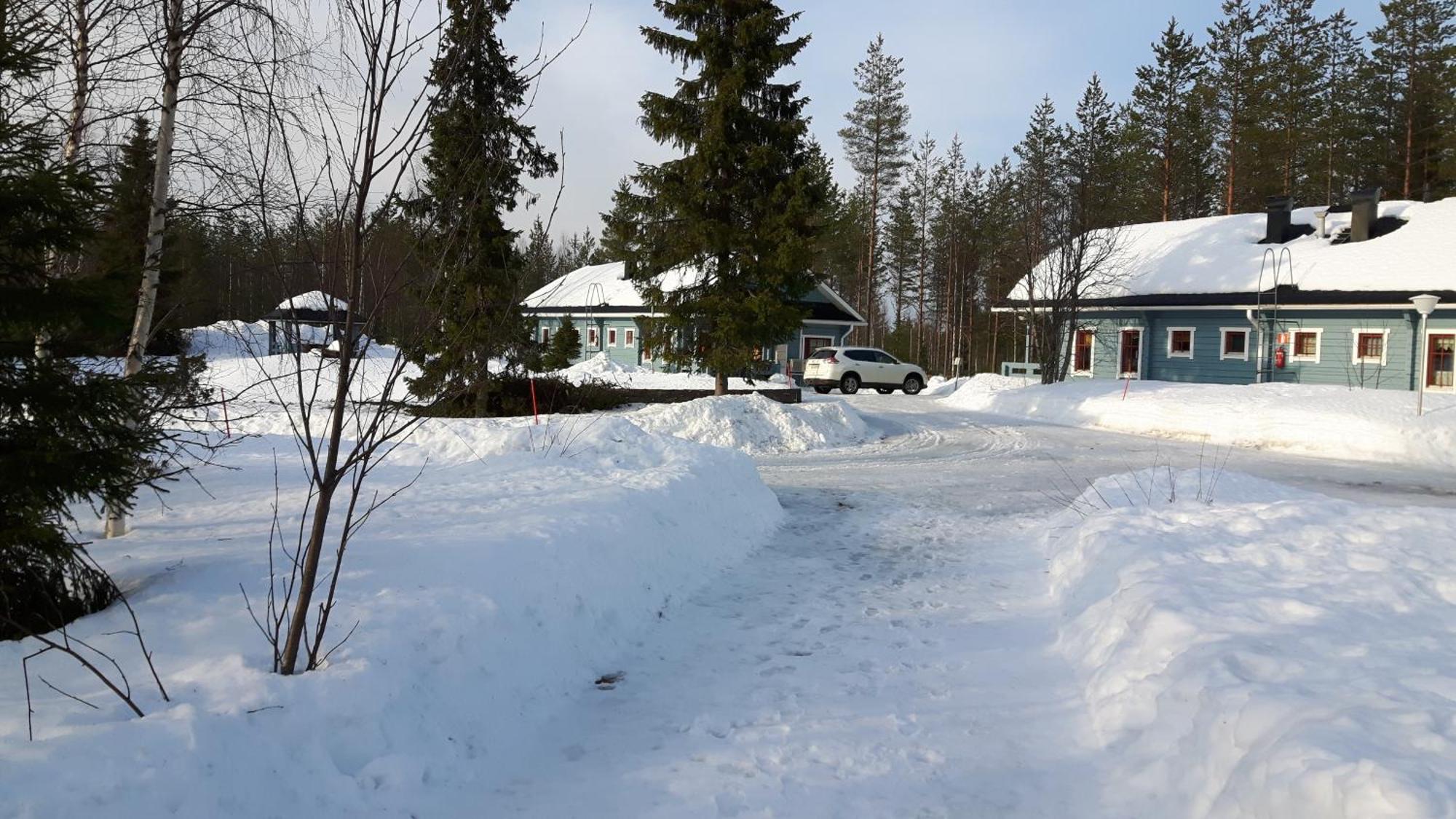 Paljakka Moekit