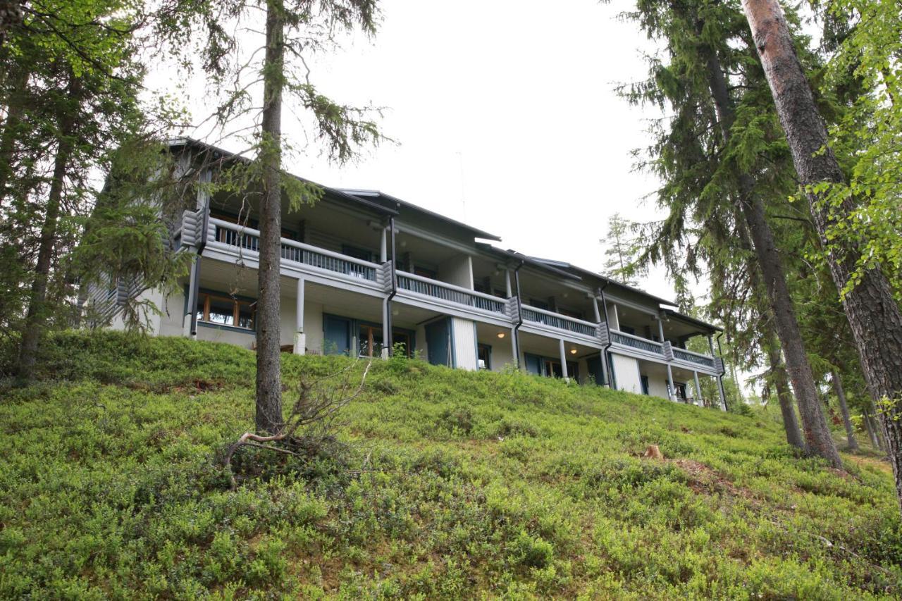 Paljakka Moekit * Kotila